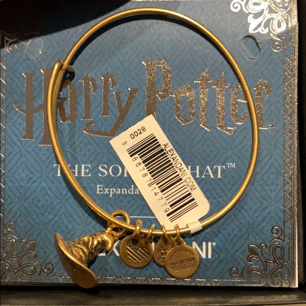 Alex and Ani Harry Potter Sorting Hat✨